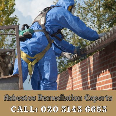 Asbestos Remediation Experts Brockley