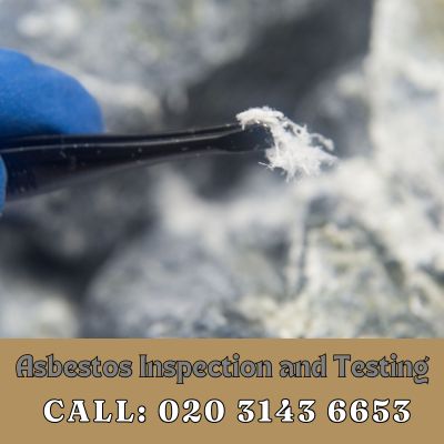 Comprehensive Asbestos Inspection and Testing Services in Brockley